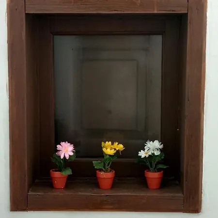 Florhouse Pacini Appartamento Catania