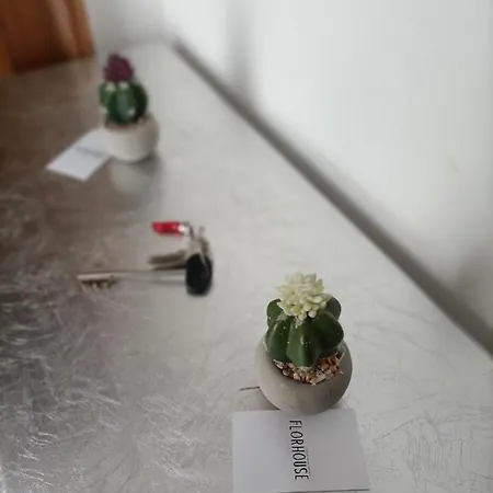 Florhouse Pacini