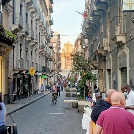 Florhouse Pacini * Catania