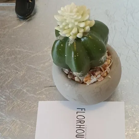 Florhouse Pacini Apartman