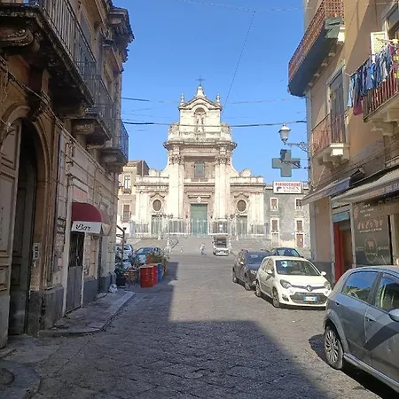 Florhouse Pacini Catania