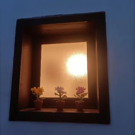 Florhouse Pacini Catania